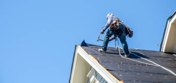 Roof Gutter Cleaning in Arkansas City, KS